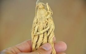 mga tambal alang sa pagpadako sa penis